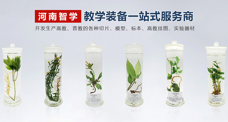 新鄉(xiāng)科烜新能源科技有限公司